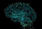 Brain Connectivity AI