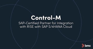 Video: Accelerate Business Modernization with SAP and Helix Control-M